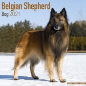 Belgian Shepherd Dog - Belgischer Schäferhund 2021