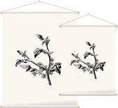 Apium Inundatum zwart-wit (Procumbent Marsh Wort) - Foto op Textielposter - 45 x 60 cm
