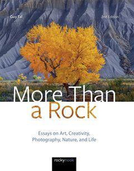 More Than a Rock, 2nd Edition - cover