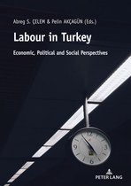 Labour in Turkey