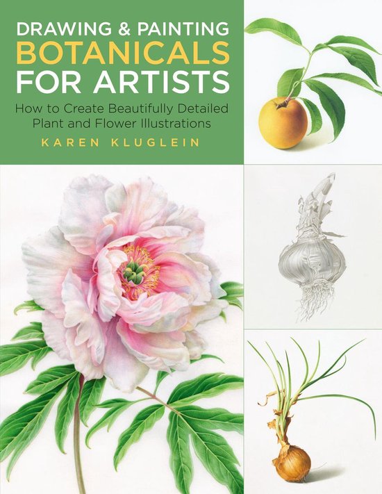 For Artists - Drawing and Painting Botanicals for Artists - cover