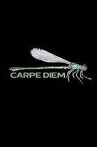 Carpe Diem: Motivational Notebook/Journal with Green Dragonfly (6x9)