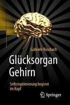 Gluecksorgan Gehirn