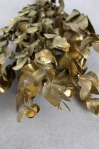 Couronne - Bundeltje gedroogde bloemen 'Eucalyptus' (Gold)