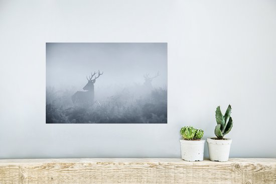 Affiche Cerf - Brouillard - Forêt - 30x20 cm