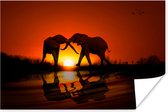 Poster Olifanten koppel bij zonsondergang - 60x40 cm