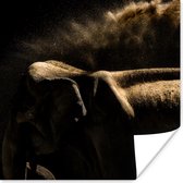 Poster Olifant - Modder - Dieren - Zwart - 100x100 cm XXL