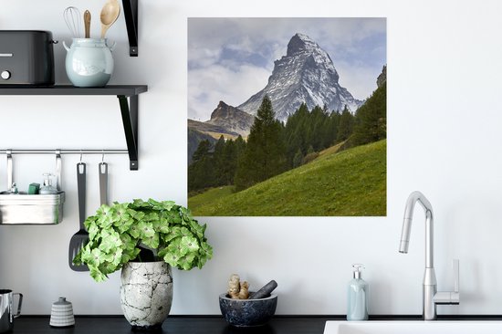 Affiche Le Cervin Suisse derrière une pinède - 50x50 cm