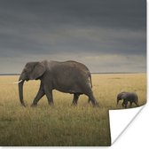 Poster Olifant - Savanne - Dieren - Natuur - 100x100 cm XXL