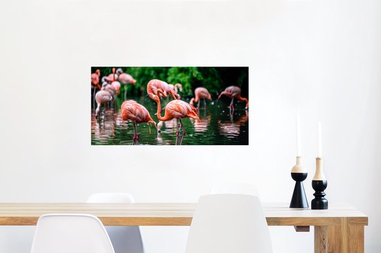 PosterMonkey - Poster - Cadre photo - Vogel - Water - Flamingo - Tropical - Animaux - 80x40 cm - Affiche sous cadre - Affiche flamant rose - Photo avec cadre - Affiche avec cadre