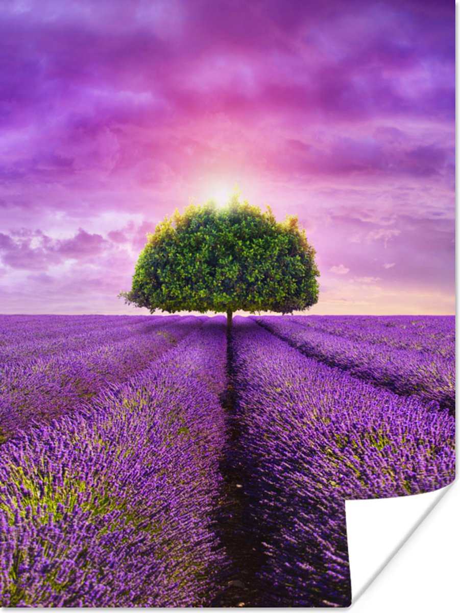Poster Lavendel - Boom - Paars - Wolken - 30x40 cm