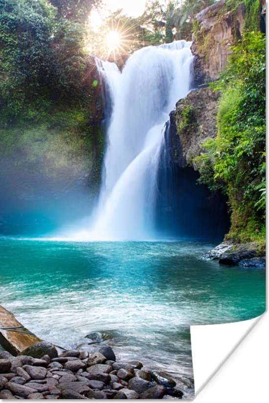 Affiche Cascade - Pierres - Paysage - Plantes - Water - 60x90 cm