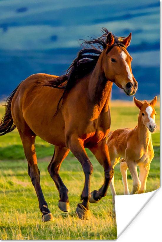 Poster kinderen - Wanddecoratie meisjes - Paarden - Gras - Dieren - Landschap - Natuur - Poster paard - 40x60 cm - Kinderkamer decoratie