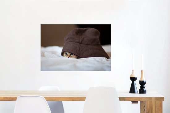 Chat caché sous chapeau 60x40 cm