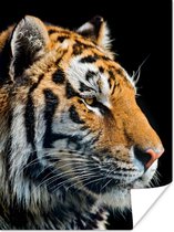 Portret Siberische tijger Poster 75x150 cm - Foto print op Poster (wanddecoratie)