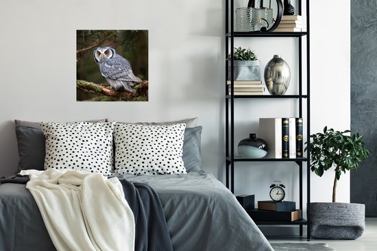 Poster Uil - Vogel - Takken - Natuur - 50x50 cm
