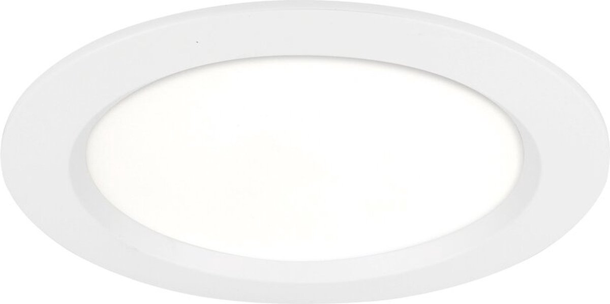 LED Downlight Pro Line 17cm 20W 4000K