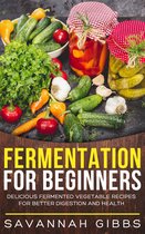 Fermentation for Beginners