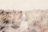 IXXI Dutch Landscape - Wanddecoratie - Fotografie - 120 x 80 cm