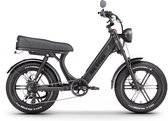 Fatbike électrique Ape Ryder MD10 Premium 250W / 48V / 14,5AH / 20 pouces Zwart