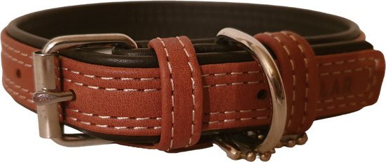 WAUDOG Leder Hundehalsband – Verstellbar, Handgefertigt, 25 Mm Breit, 38–49 Cm Länge