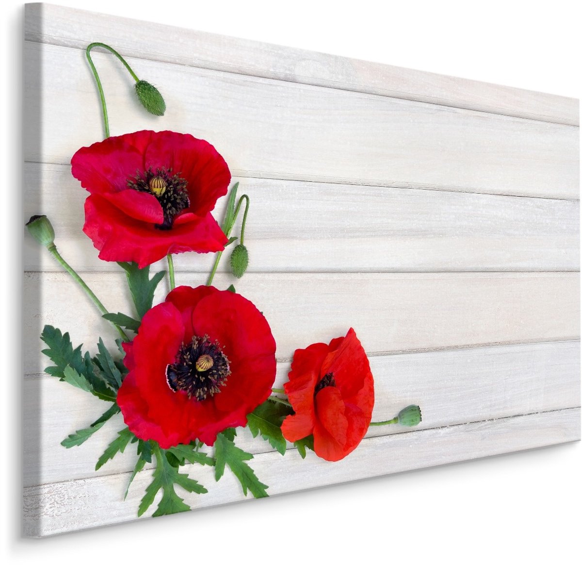 karo-art Schilderij - Rode klaprozen op wit hout (print op canvas), premium print Multikleur