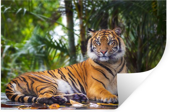 Jersey Safari tijger - de Stoffenschuur