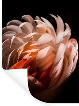 Muurstickers - Sticker Folie - Flamingo - Veren - Licht - Macro - 60x80 cm - Plakfolie - Muurstickers Kinderkamer - Zelfklevend Behang - Zelfklevend behangpapier - Stickerfolie