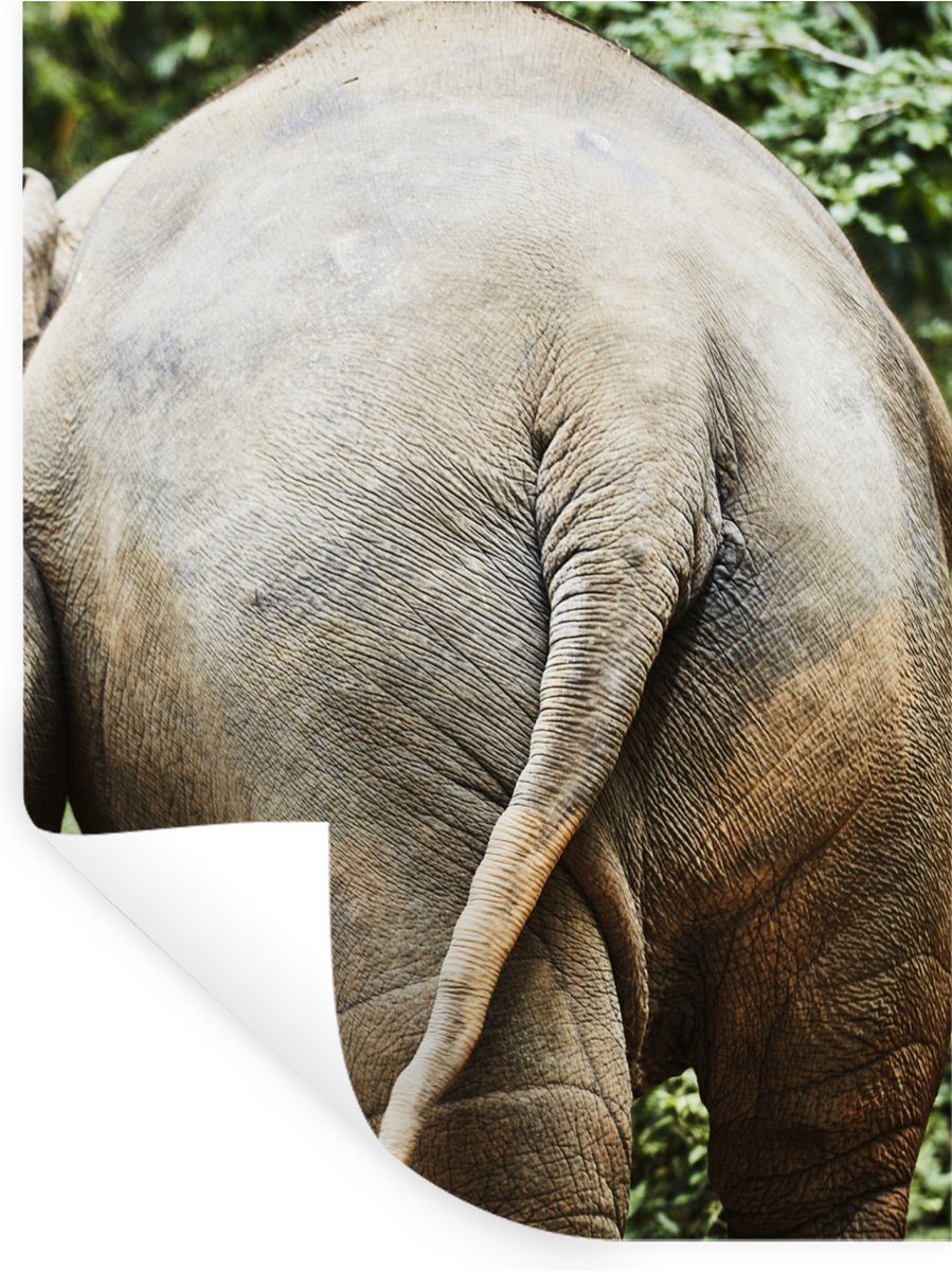 Muurstickers - Sticker Folie - Olifant - Dieren - Grijs - Natuur - 30x40 cm - Plakfolie - 