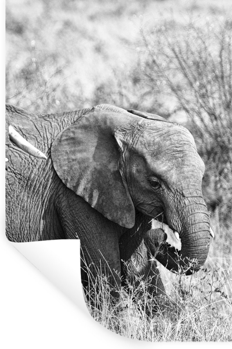 Muurstickers - Sticker Folie - Olifant - Dieren - Gras - Zwart wit - 40x60 cm - Plakfolie 