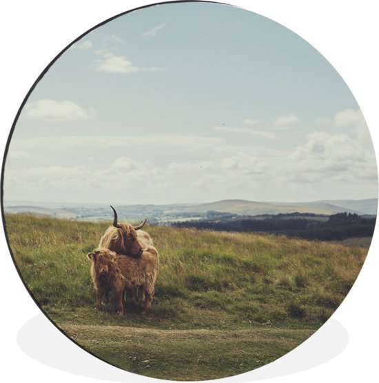 Cercle mural - Cercle mural - Highlanders écossais - Herbe - Nuages - Animaux - Aluminium - ⌀ 60 cm - Intérieur et extérieur