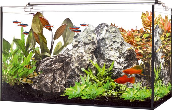 Happet - Led Aquarium 60 - S-la60ha - 1st