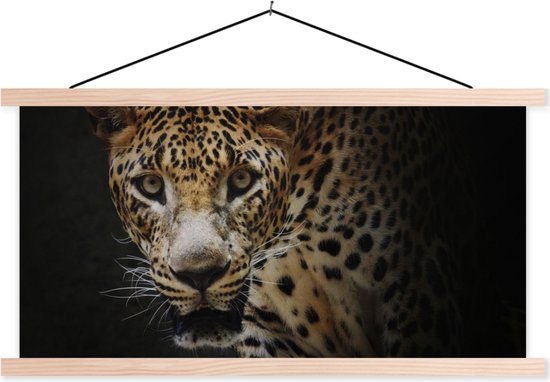 Porte-affiche avec affiche - Affiche scolaire - Léopard - Animaux sauvages - Léger - 60x30 cm - Lattes transparentes
