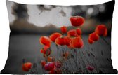 Buitenkussens - Tuin - Rode Klaprozen tegen zwarte met witte achtergrond - 50x30 cm