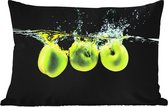 Buitenkussens - Appels - Fruit - Water - Zwart - Groen - 60x40 cm - Weerbestendig