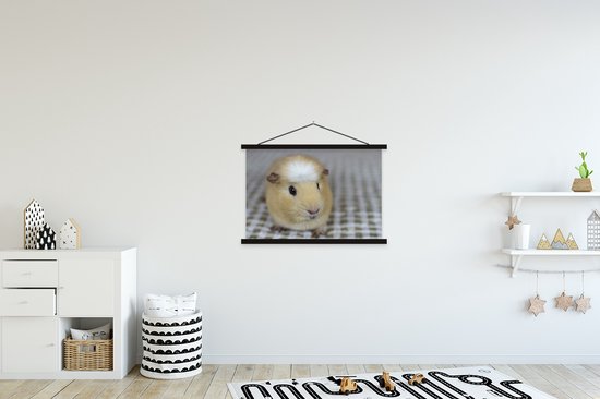 Affiche textielposter petit cochon d'Inde 90x60 cm