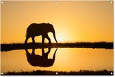 Affiche de jardin silhouette éléphant au coucher du soleil 120x80 cm - Photo sur affiche de jardin / peintures pour l'extérieur (décoration de jardin)