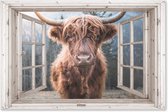 Affiche de jardin Scottish Highlander - Vache - Berg - Transparent - 180x120 cm