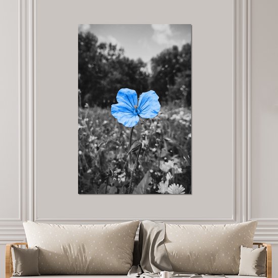 Décoration murale Métal - Aluminium - Fleurs - Zwart - Wit - Blauw - 100x150 cm