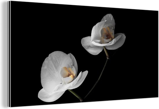 Wanddecoratie Metaal - Aluminium Schilderij Industrieel - Orchidee - Bloemen - Zwart - Wit - Stilleven - 80x40 cm - Dibond - Foto op aluminium - Industriële muurdecoratie - Voor de woonkamer/slaapkamer