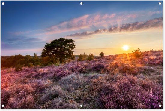 Foto: Tuinposter tuindoek tuinposters buiten bloeiende heide tijdens zonsondergang in nederland 120x80 cm tuin