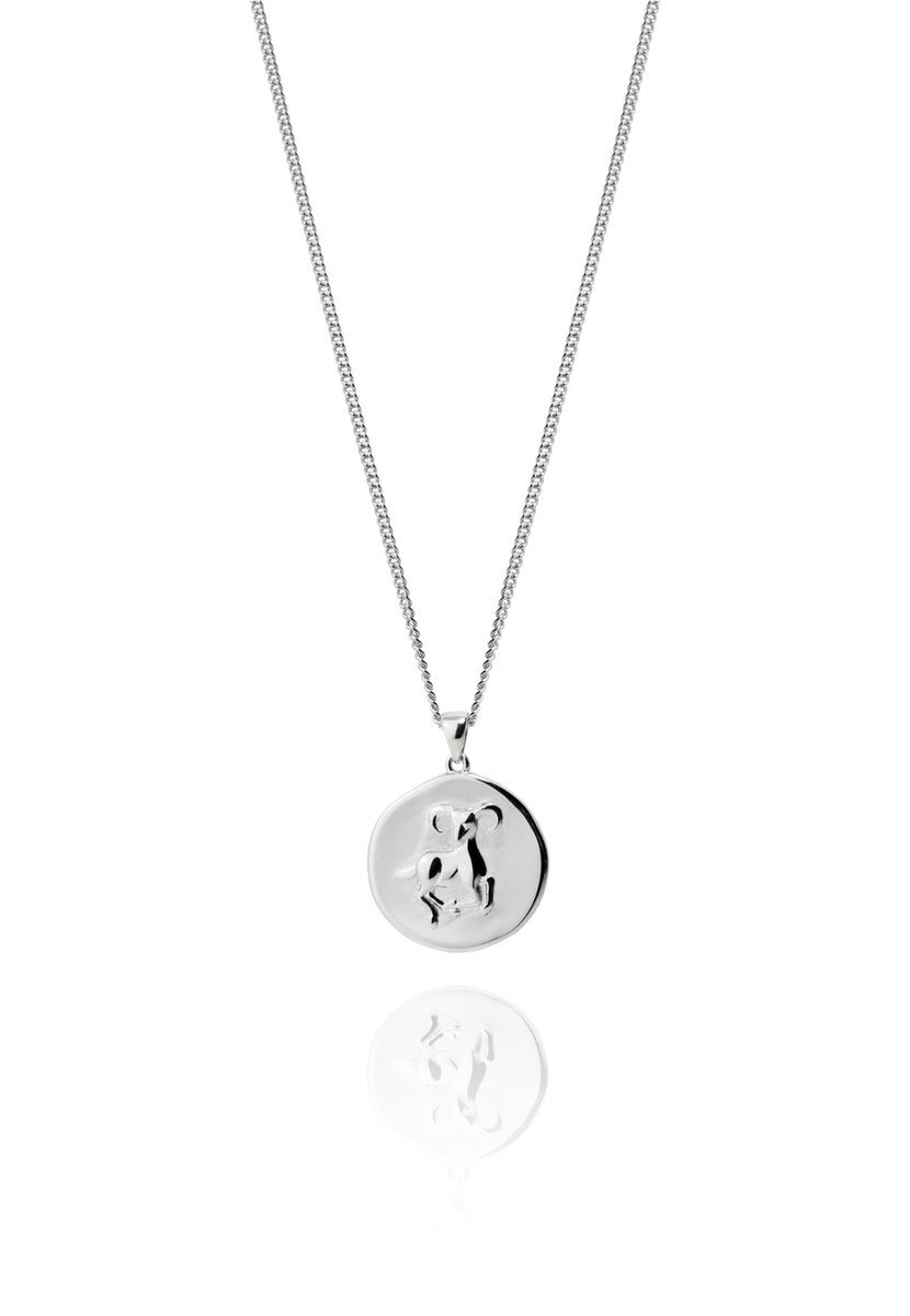 STEENBOK HOROSCOOP Ketting Sterling Zilver