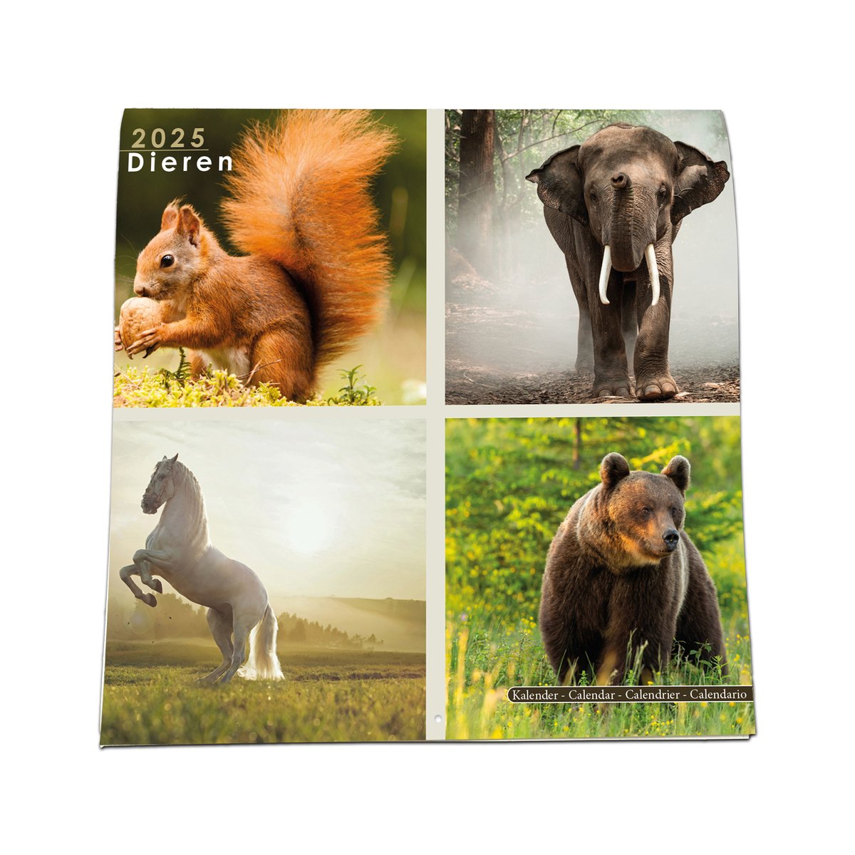 Wandkalender Dieren - September 2024 t/m 31 December 2025 - Nietjes kalender - 6 talen - 44x22cm - Inclusief boorgaatjes