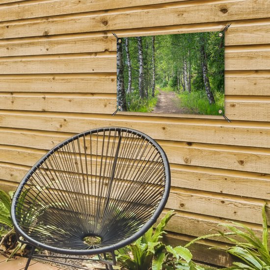 Tuindecoratie Bos - Bomen - Berk - 60x40 cm - Tuinposter - Tuindoek - Buitenposter