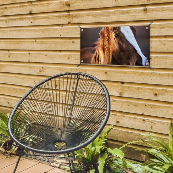 Poster de jardin Cheval - Léger - Fourrure - 60x30 cm - Toile de jardin - Poster extérieur