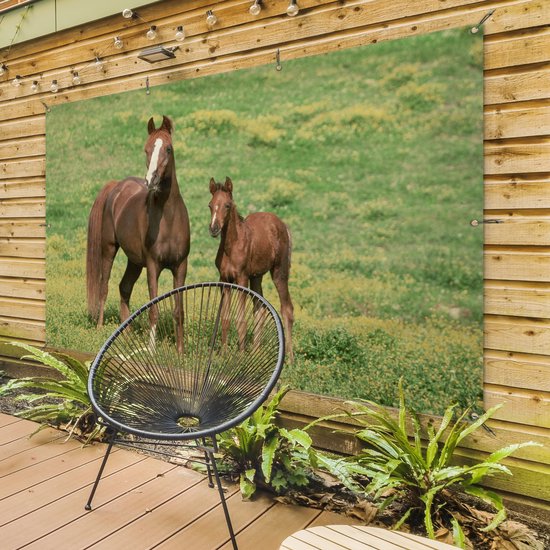 Décoration murale murale Paarden - Herbe - Marron - 180x120 cm - Affiche de jardin - Toile de jardin - Poster extérieur