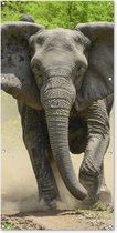 Wanddecoratie buiten Rennende olifant - 80x160 cm - Tuindoek - Buitenposter