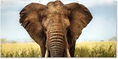 Wanddecoratie buiten Afrikaanse olifant vooraanzicht - 160x80 cm - Tuindoek - Buitenposter