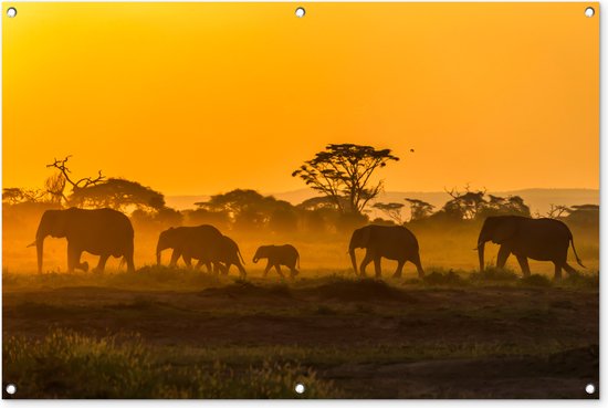 Tuinposter - Tuindoek - Tuinposters buiten - Kudde olifanten bij zonsopkomst - 120x80 cm - Tuin