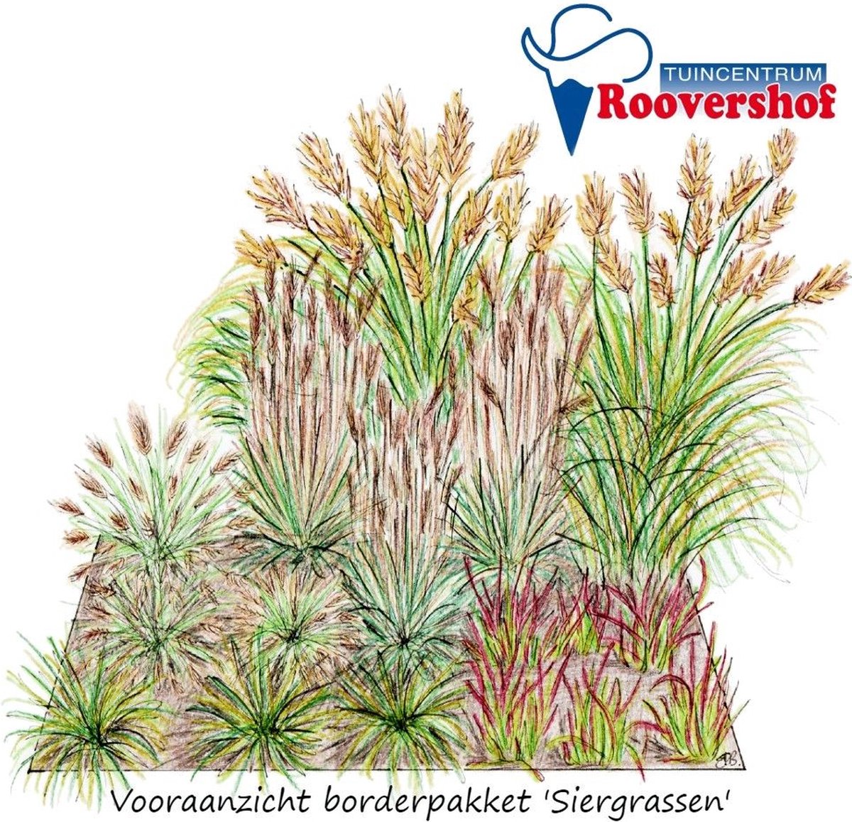 Borderpakket 'Siergrassen' - sterke, onderhoudsarme grassen - 17 planten - 3 m²